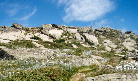 Mount Stillwell Walk - Accommodation Batemans Bay 1