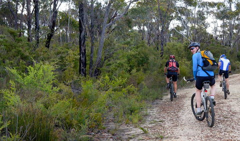 McMahon's Point Ride - Wentworth Falls - Accommodation Batemans Bay 0
