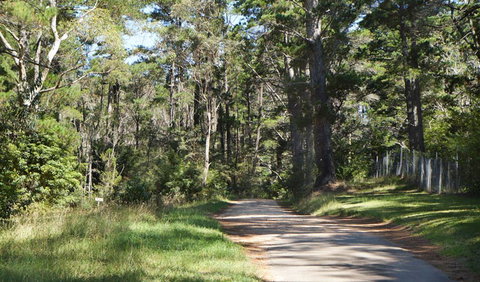 McMahon's Point Ride - Wentworth Falls - Accommodation Batemans Bay 2