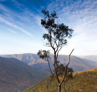 Salisbury Waters walking track - Accommodation Batemans Bay
