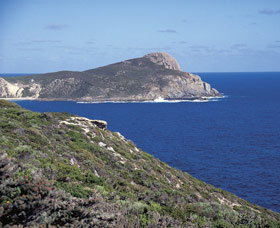 Bald Head Walking Track - Accommodation Batemans Bay 0