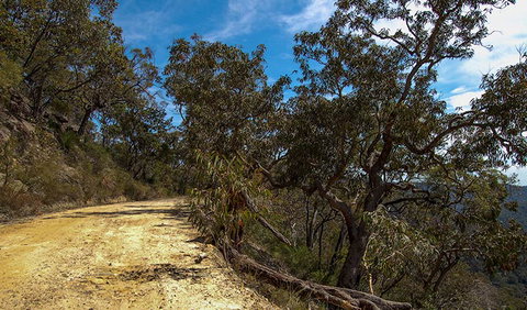 Parr State Conservation Area - Accommodation Batemans Bay 0