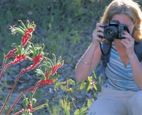 Kalamunda National Park - Accommodation Batemans Bay 1