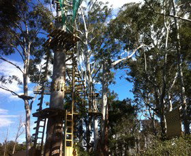 Trees Adventure Grose River Park - Accommodation Batemans Bay 1