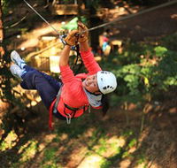 Trees Adventure Grose River Park - Accommodation Batemans Bay