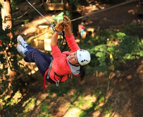 Trees Adventure Grose River Park - Accommodation Batemans Bay 0