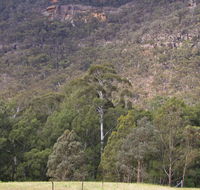 Bangadilly National Park - Accommodation Batemans Bay