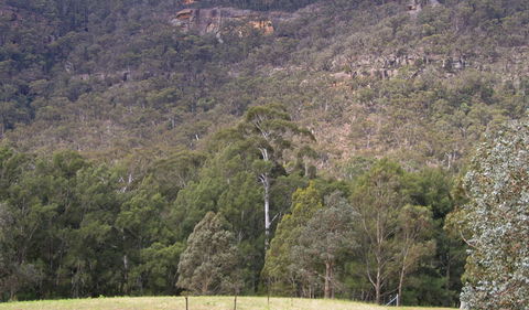 Bangadilly National Park - Accommodation Batemans Bay 0