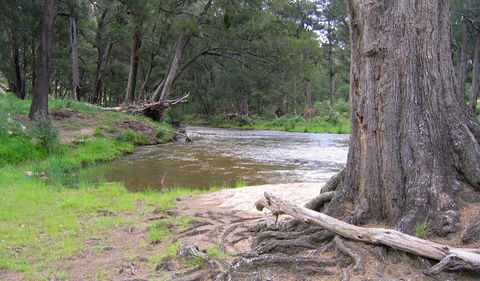 Bangadilly National Park - Accommodation Batemans Bay 3