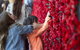 Australian War Memorial - thumb 5