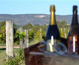 Ugly Duckling Wines - Accommodation Batemans Bay 1