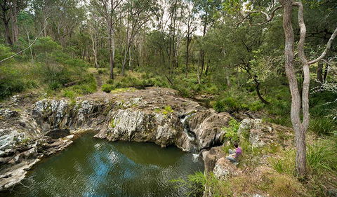 Koreelah National Park - Accommodation Batemans Bay 2