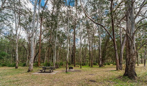 Koreelah National Park - Accommodation Batemans Bay 3