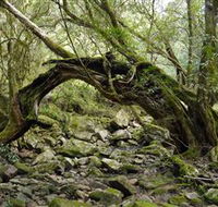 Mitchell River National Park - Accommodation Batemans Bay