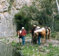 Yarramba Horse Riding - Accommodation Batemans Bay