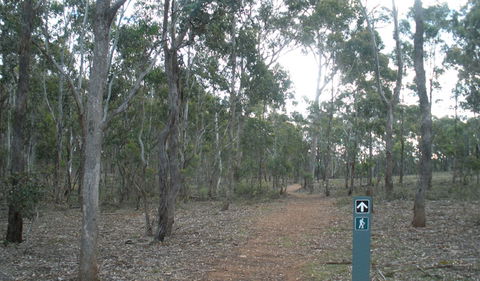 Green Track - Accommodation Batemans Bay 0