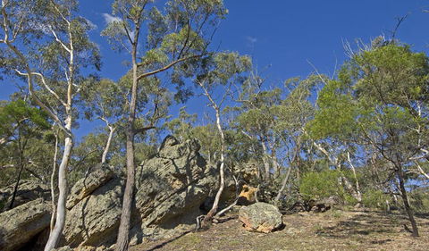 Green Track - Accommodation Batemans Bay 2
