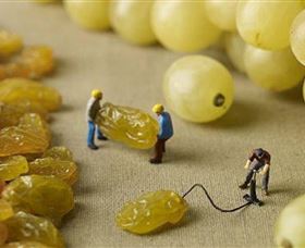 Hunter Valley Wine School - Accommodation Batemans Bay 0