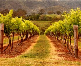 Hunter Valley Wine School - Accommodation Batemans Bay 1