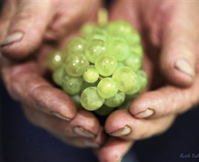 Keith Tulloch Wine - Accommodation Batemans Bay 1