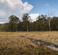 Mummel Gulf National Park - Accommodation Batemans Bay
