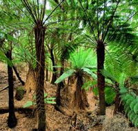 Pegarah Private Nature Reserve  Parenna Place - Accommodation Batemans Bay