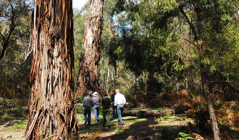 Bendoura NSW Accommodation Batemans Bay