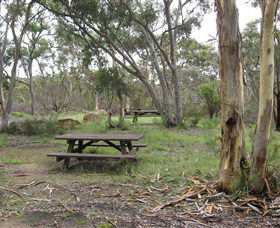 Box Vale Picnic Area - Accommodation Batemans Bay 2