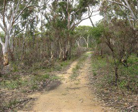 Box Vale Picnic Area - Accommodation Batemans Bay 4