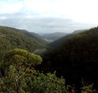 Nattai Gorge Lookout - Accommodation Batemans Bay