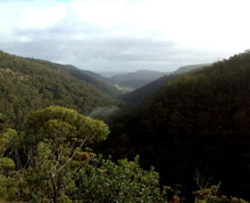 Nattai Gorge Lookout - Accommodation Batemans Bay 0