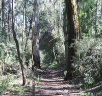 Box Vale Mine Walking Track and Lookout - Accommodation Batemans Bay