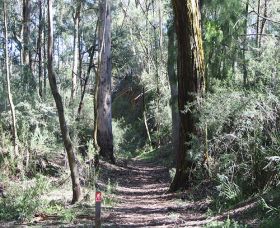 Box Vale Mine Walking Track And Lookout - Accommodation Batemans Bay 0