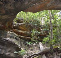 Cave Creek Walking Track - Accommodation Batemans Bay