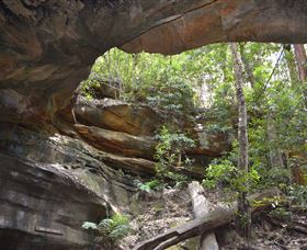 Cave Creek Walking Track - Accommodation Batemans Bay 0