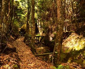 Cave Creek Walking Track - Accommodation Batemans Bay 2
