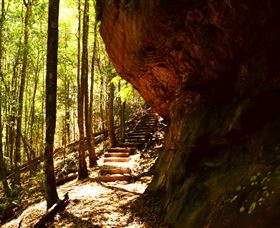 Cave Creek Walking Track - Accommodation Batemans Bay 1