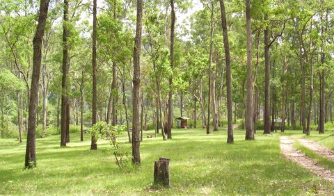 Nymboida National Park - Accommodation Batemans Bay 2
