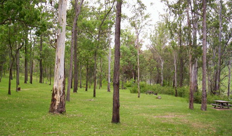 Nymboida National Park - Accommodation Batemans Bay 3