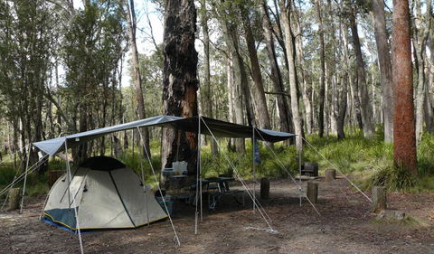 Cathedral Rock National Park - Accommodation Batemans Bay 1