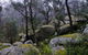 Cathedral Rock National Park - thumb 2