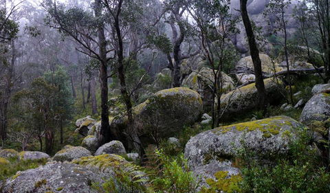 Cathedral Rock National Park - Accommodation Batemans Bay 2