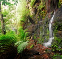 Fairy Bower Falls - Accommodation Batemans Bay