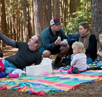 State Forests of the Watagan Mountains - Accommodation Batemans Bay