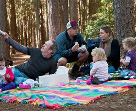 State Forests Of The Watagan Mountains - Accommodation Batemans Bay 0