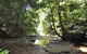 State Forests Of The Watagan Mountains - thumb 1