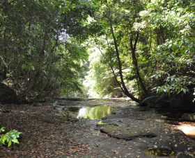 State Forests Of The Watagan Mountains - Accommodation Batemans Bay 1