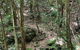 State Forests Of The Watagan Mountains - thumb 2