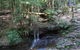 State Forests Of The Watagan Mountains - thumb 3