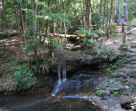 State Forests Of The Watagan Mountains - Accommodation Batemans Bay 3